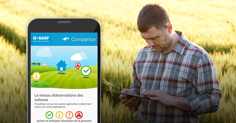 BASF Companion, l'application mobile de surveillance collaborative des cultures