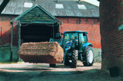 Tracteur T6000 Élevage de New Holland pour une utilisation à la ferme avec un chargeur frontal